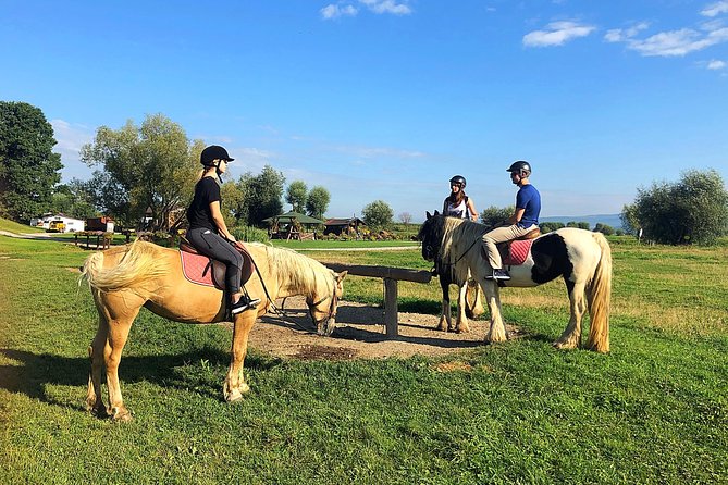 Horseback Riding Tour In Brasov - Ride Through Fields, Forests & Hills - Good To Know