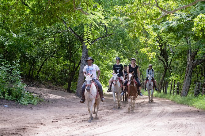 Horseback Riding Tours in Brasilito - About Your Stay