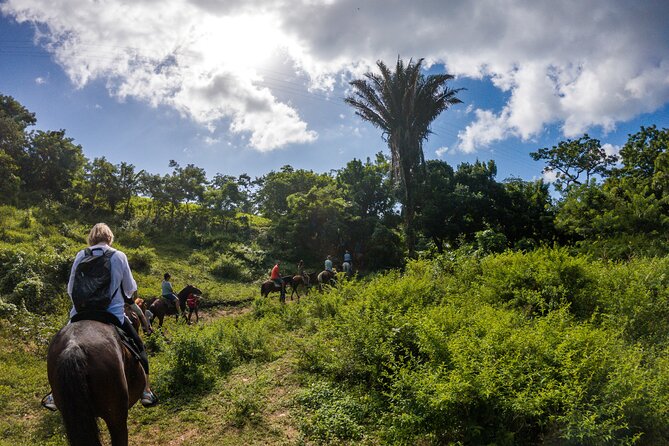 Horseback Riding Trail Tour, Roatan Letters and Ocean in Flowers Bay - Good To Know
