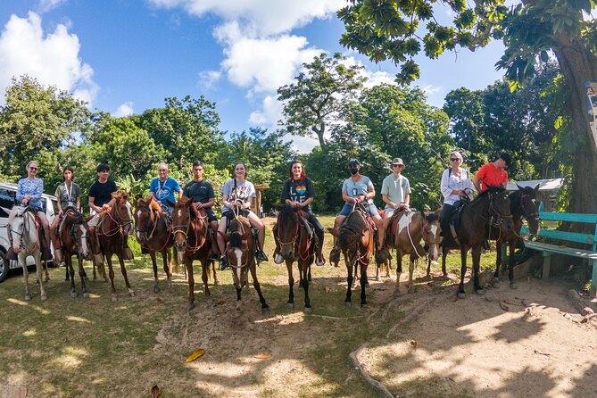 Horseback Riding + West End + Choco Factory + West Bay Day Pass @ Paradise Beach - Good To Know
