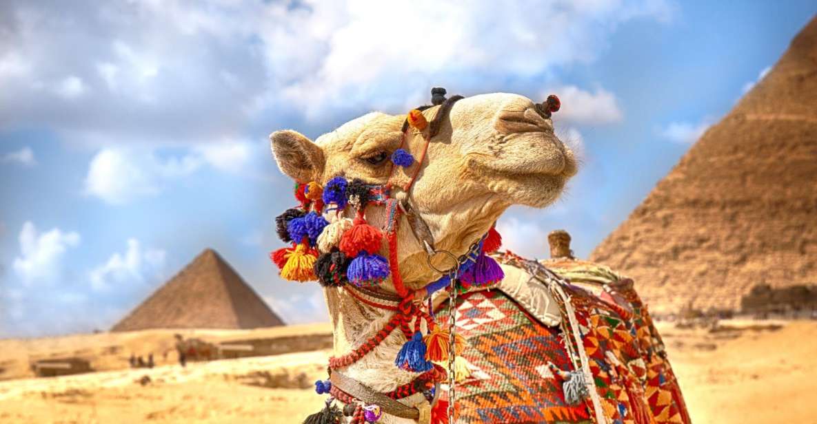 Hurghada: Camel Ride Along Pyramids of Giza & Cairo Museum - Good To Know