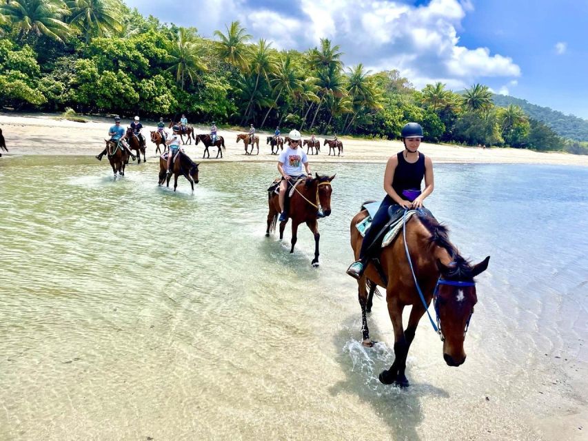 Hurghada: Desert and Sea Horseback Riding Tour With Transfer - Good To Know