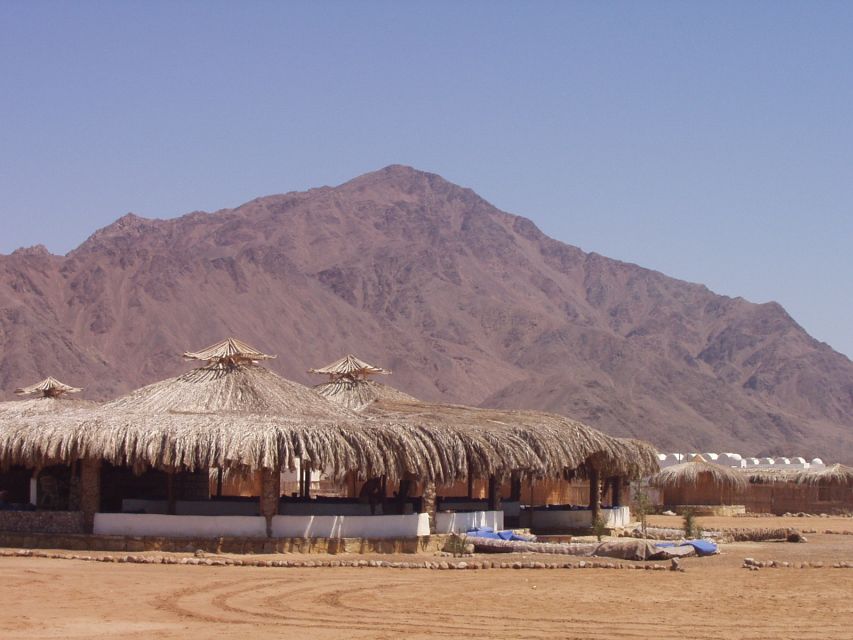 Hurghada Desert Safari: Quad Biking & Bedouin Village Visit. - Good To Know