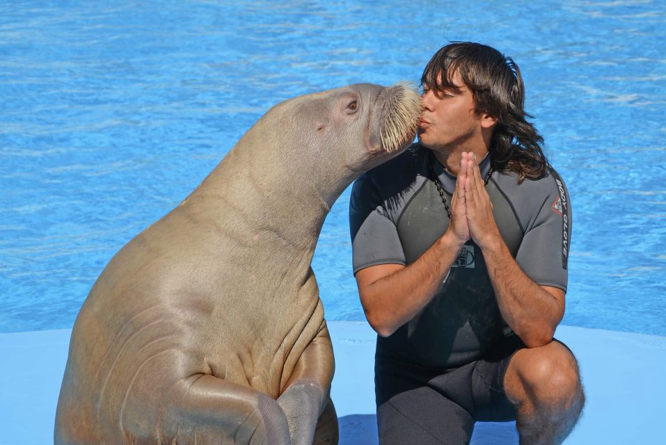 Hurghada: Dolphin World Show With Walruses and Pickup - Good To Know