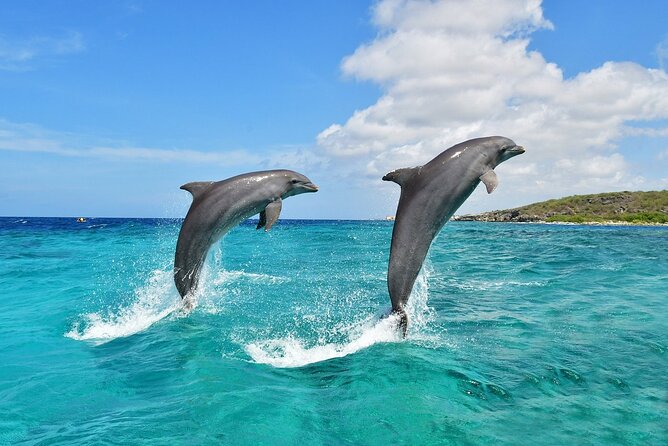 Hurghada Full-Day Boat Trip to Dolphin House &Snorkelling- Lunch - Good To Know