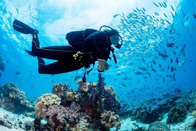 Hurghada: Full-Day Diving Tour With Lunch & Two Dive Sites - Good To Know