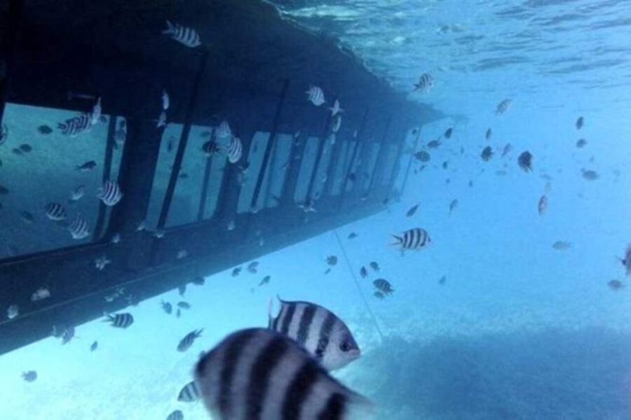 Hurghada: Scenic Submarine Tour With Snorkeling and Transfer