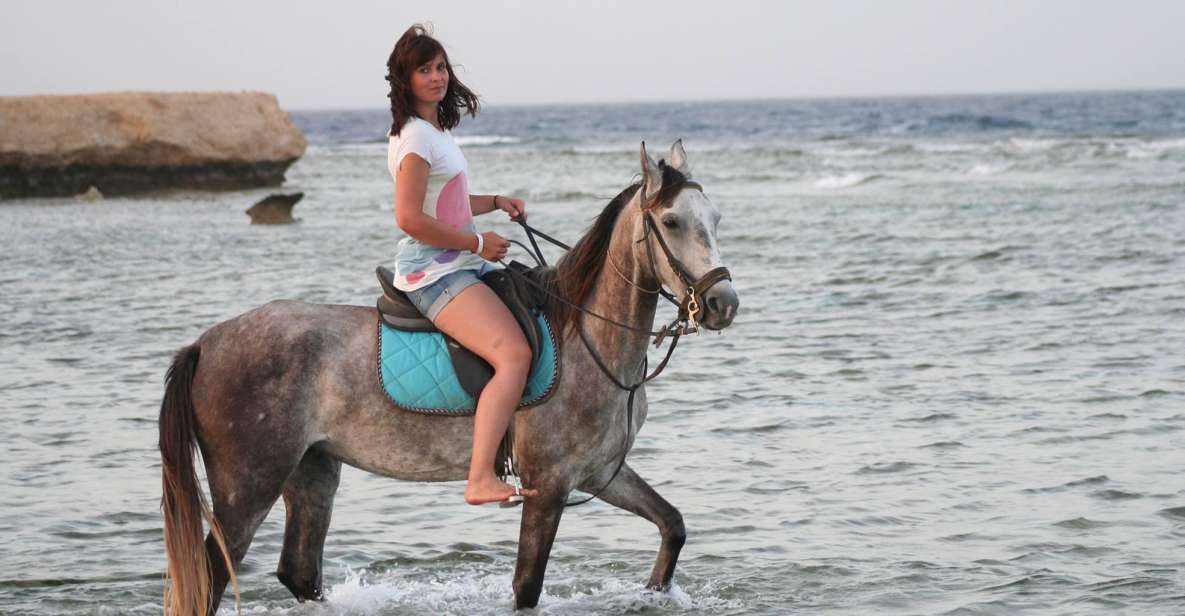 Hurghada: Sea & Desert Horse Tour, Stargazing, Dinner & Show - Good To Know