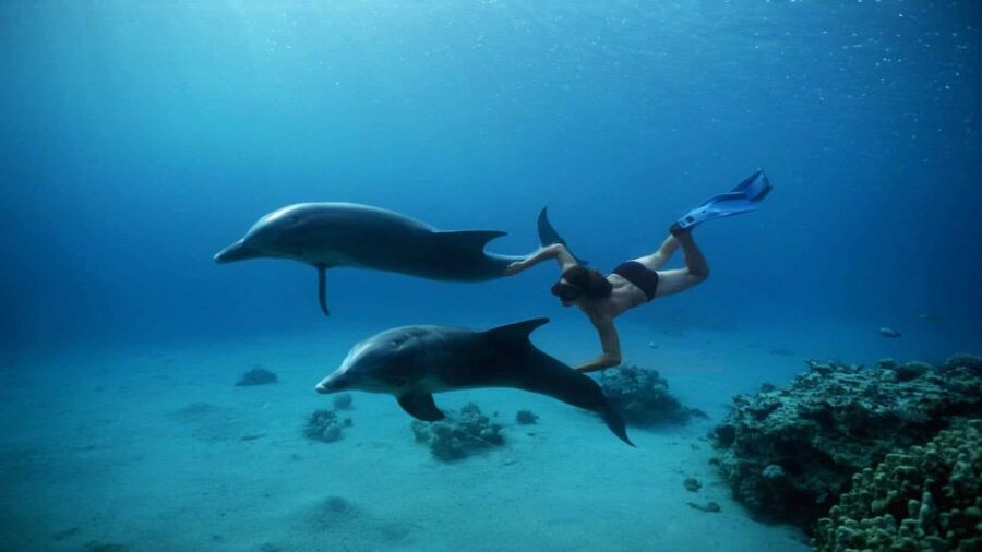 Hurghada: Snorkeling, Dolphin Watching & Banana Boat Fun