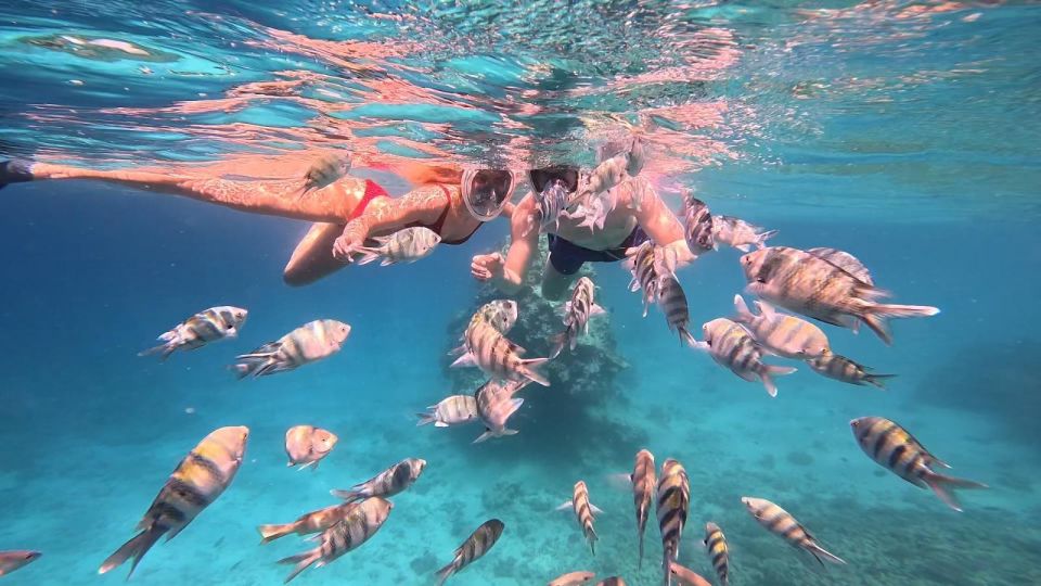 Hurghada: Snorkelling Trip by Speedboat With Hotel Pickup - Good To Know