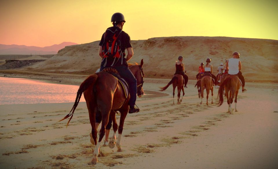 Hurghada: Sunset Sea, Desert Horse W Opt, Dinner, Stargazing - Good To Know