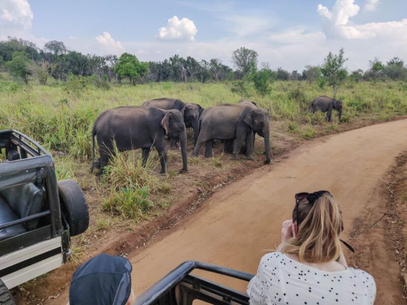 Hurulu Eco Park: 3-Hour Morning or Evening Safari - Good To Know