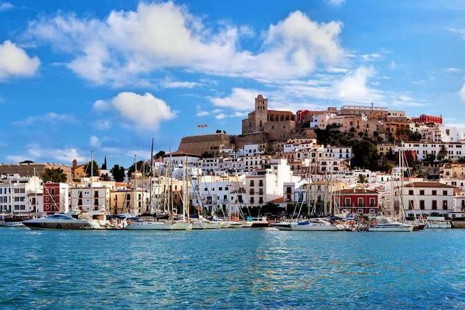 Ibiza Island Tour: Punta Arabi Local Market Review - Key Points
