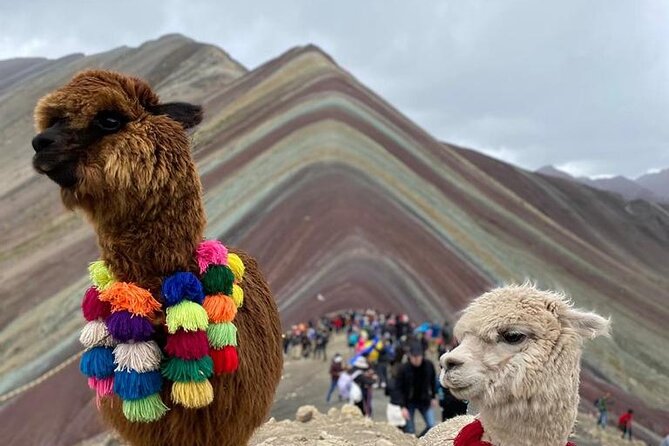 Full Day Tour in ATV by Montana 7 Colores Cusco - ATV Experience