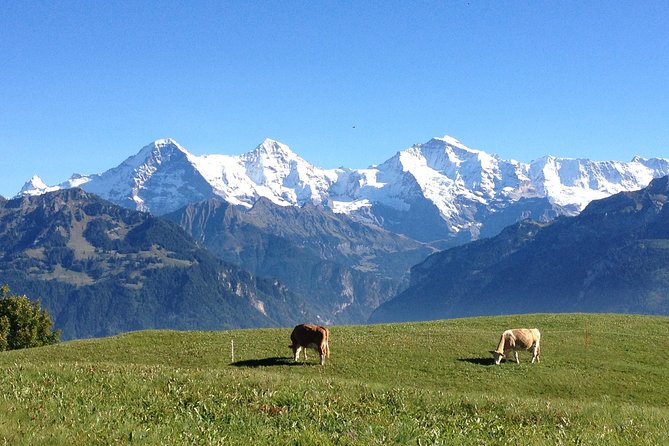 Interlaken & Jungfrau Private Tour - Customized Day Tour With Your Local Guide - Tour Highlights