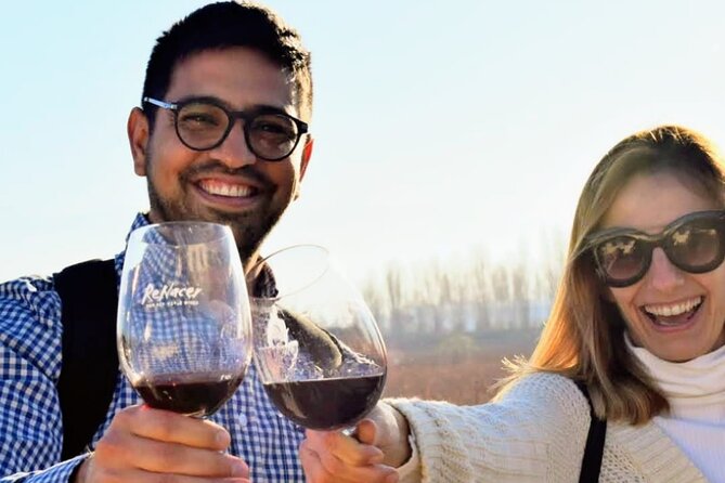 Intimate Wine Tour With Wine Pairing Lunch - Good To Know