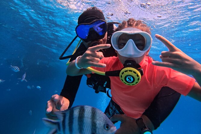 Intro Diving Beginner and Discover Red Sea Underwater - Good To Know