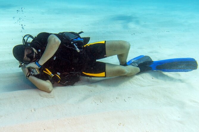 Intro Diving for Beginners 2 Stops Diving With Lunch in Hurghada - Overview of the Experience