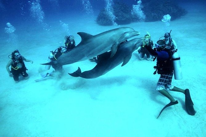 Intro Scuba Diving Beginners Full Day Boat Trip 2 Stops Diving & Lunch– Hurghada - Good To Know