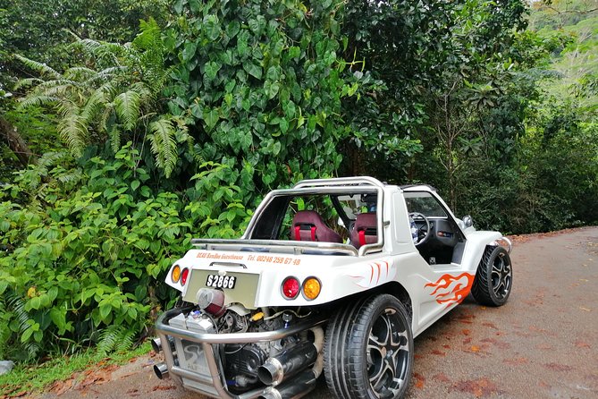 Island Tour With the Beach Buggy - Good To Know