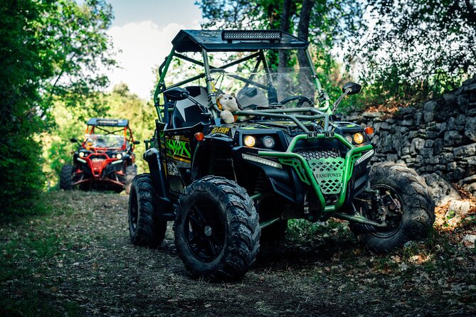 Istra Buggy Tours - Fazana - Good To Know