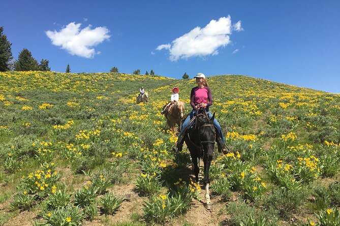 Jackson Hole Horseback Riding in Bridger Teton National Forest - Overview of Horseback Riding