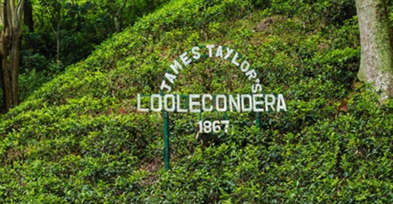 James Taylors Enchanting Tea Story Tour From Kandy - Good To Know