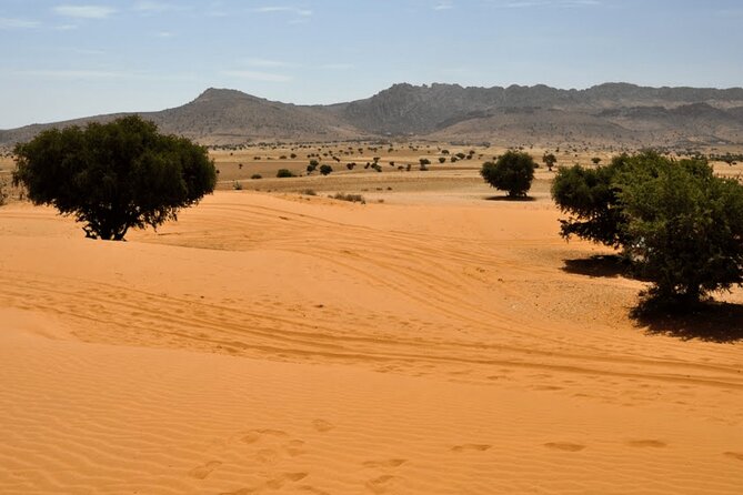Jeep 4x4 Safari Atlantic Ocean & Desert Dunes With Berber Lunch - Good To Know