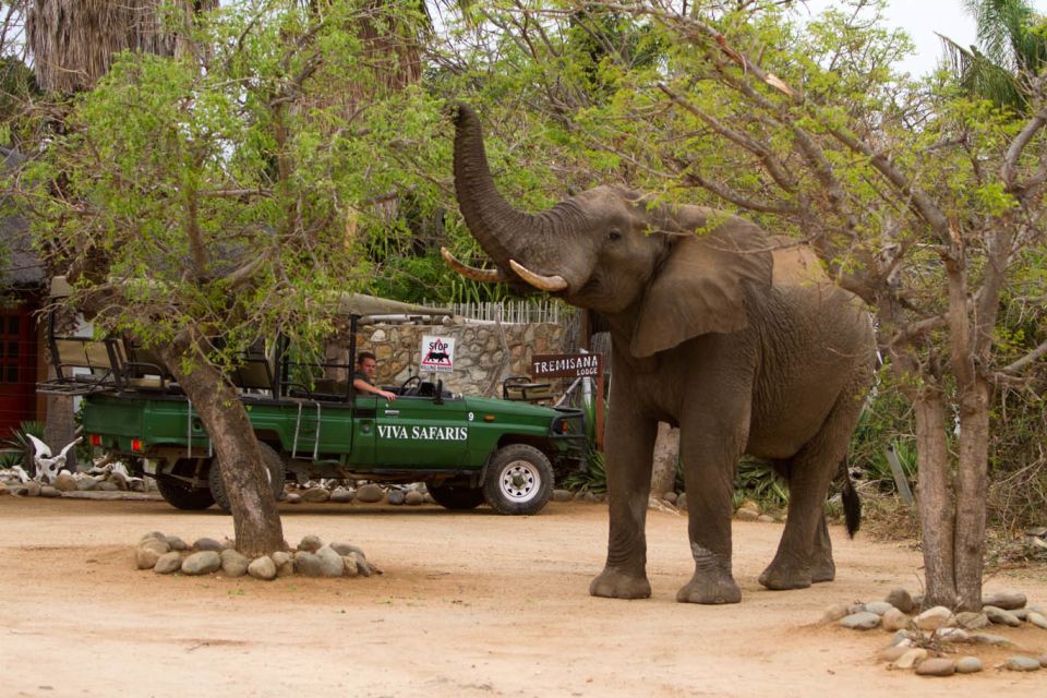 Johannesburg: 4-Day Classic Kruger National Park Safari - Good To Know