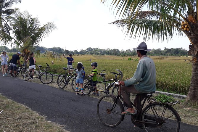 Kaba Kaba Reason for Harmony Cycling - Good To Know