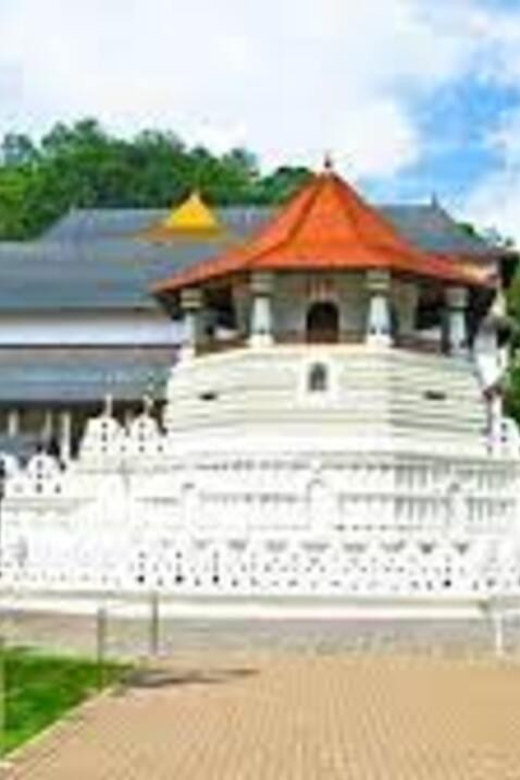 Kandy Full Day Tour From Negombo (Private Day Tour) - Good To Know