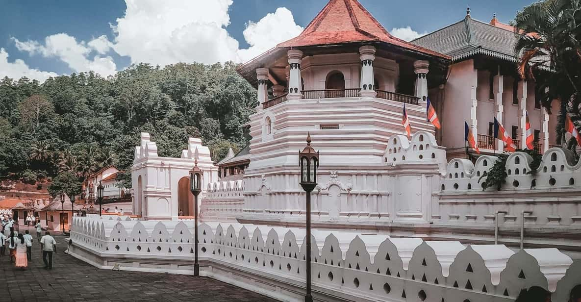 Kandy: Pinnawala and Temple of Tooth ++ Comfortable Car Tour - Good To Know