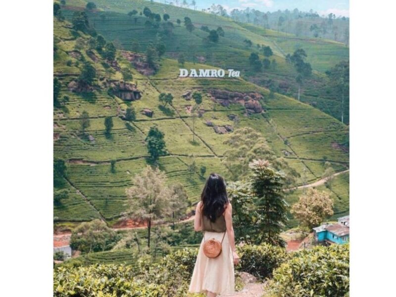 Kandy to Nuwaraeliya Day Or Drop Tour By Local Tuk Tuk - Good To Know