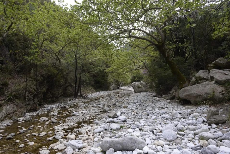 Kardamili : Hiking in Ridomo Gorge - Good To Know