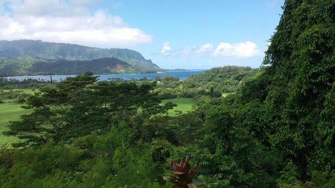 Kauai East Side and North Shore Private Guided Tour - Good To Know
