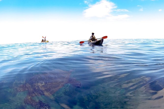 Kauai Sea Kayaking 10 Mile Tour - Na Pali Iki (Polihale to Milolii) - Good To Know