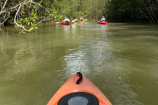 Kayak Mangrove Tour in Manuel Antonio - Good To Know