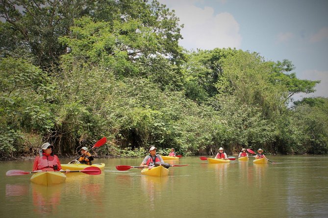 Kayak Safari - Good To Know