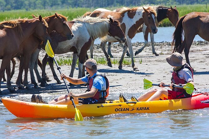 Kayak Tour Along Assateague & Chincoteague Island, Virginia - Good To Know