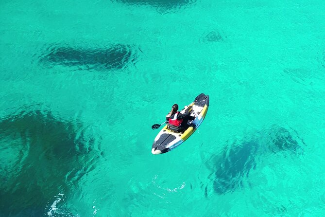 Kayak Tour in Golfo Aranci With Aperitif and Dolphin Watching - Good To Know