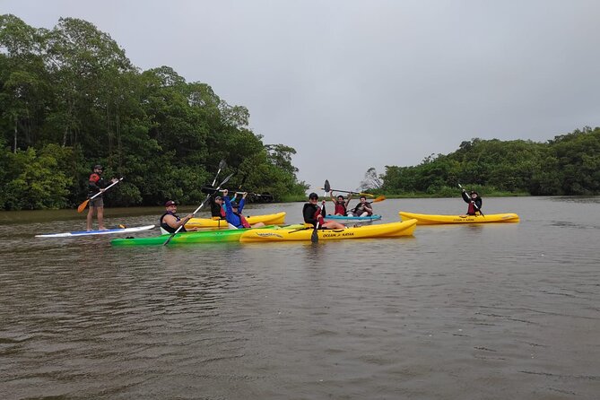 Kayaking Tour in Gandoca Lagoon Throug Mangrove Forest - Good To Know