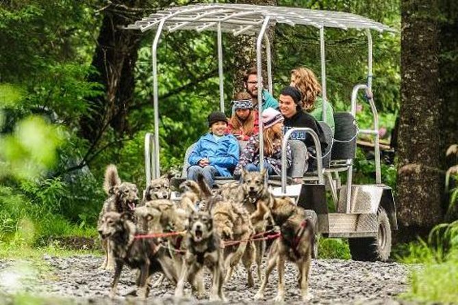Kennel Tour and Dog Sled Ride - Good To Know