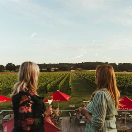 Kent: Balfour Vineyard Walk and Wine Tasting - Good To Know