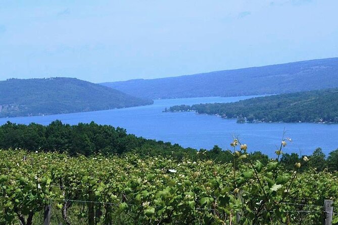 Keuka Lake Winery Tour - Good To Know