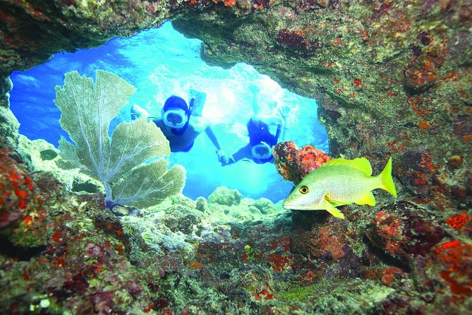 Key West Reef Snorkel – Morning Mimosas or Afternoon Margaritas - Good To Know