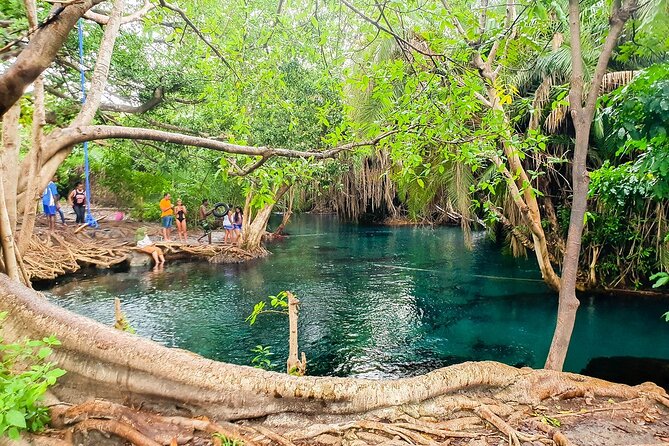 Kikuletwa Hot Spring - Overview of Kikuletwa Hot Spring