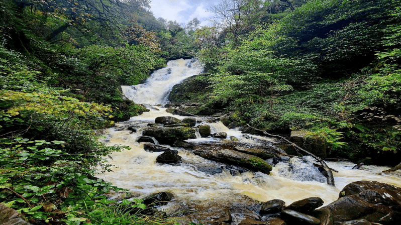 Killarney Area Half Day Tour - Good To Know