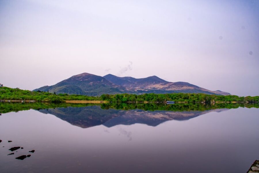 Killarney: Guided Boat Tour to Innisfallen Island