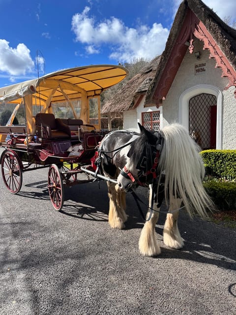 Killarney National Park Tour - Good To Know