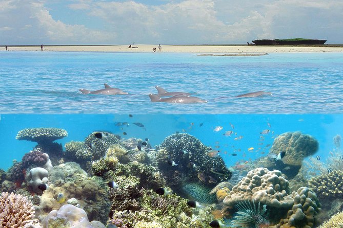Kisite Marine Park Private Boat Snorkeling With Breakfast & Lunch - Good To Know